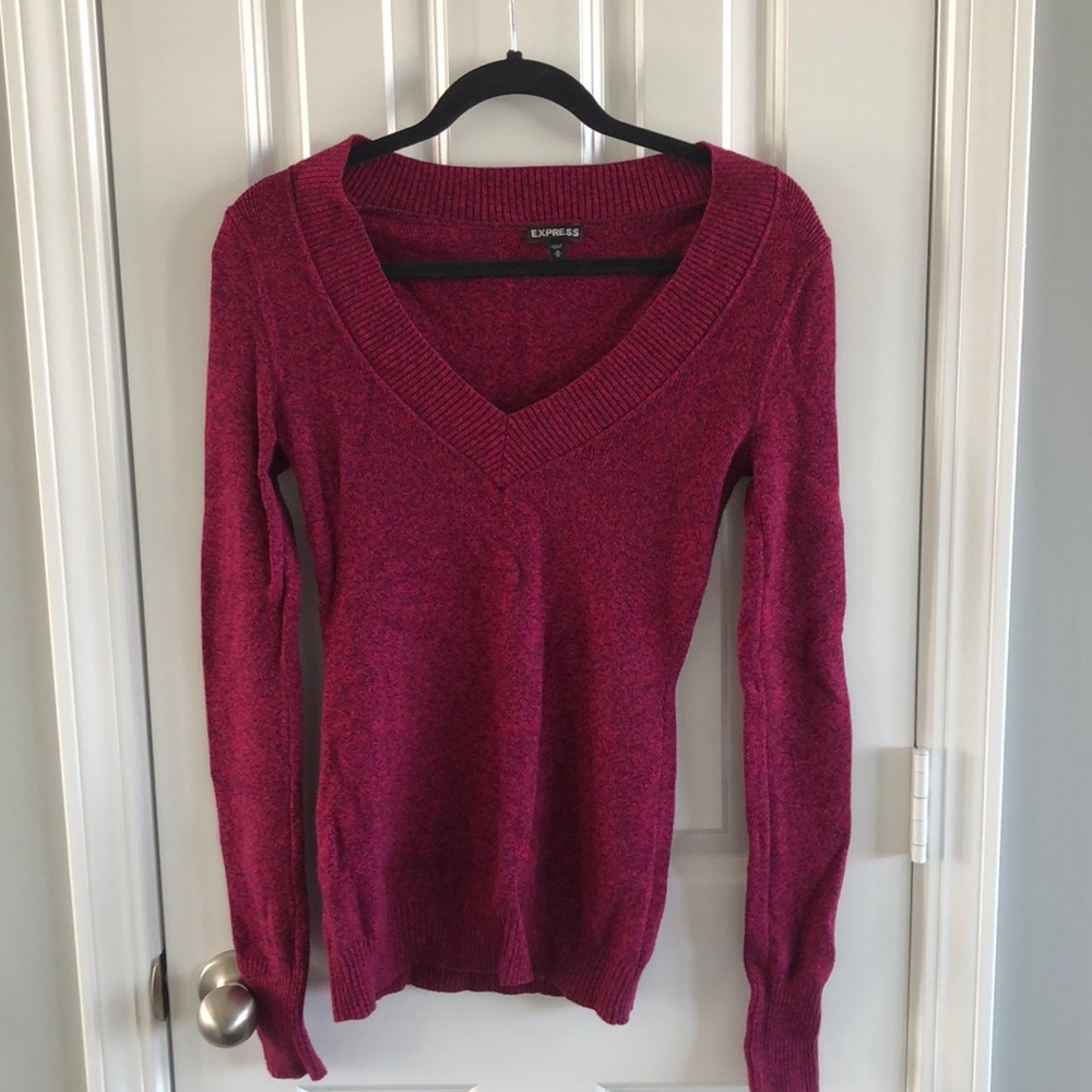 Express v-neck sweater